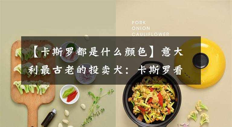 【卡斯罗都是什么颜色】意大利最古老的投卖犬:卡斯罗看到猛虎也不怕。