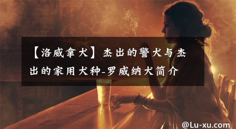 【洛威拿犬】杰出的警犬与杰出的家用犬种-罗威纳犬简介