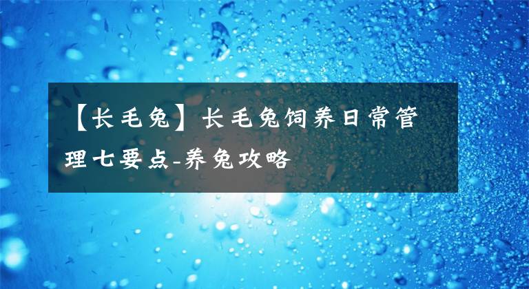 【长毛兔】长毛兔饲养日常管理七要点-养兔攻略
