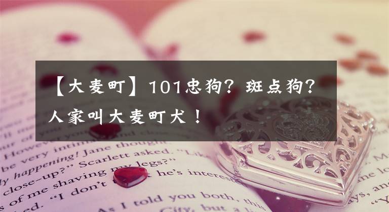 【大麦町】101忠狗？斑点狗？人家叫大麦町犬！