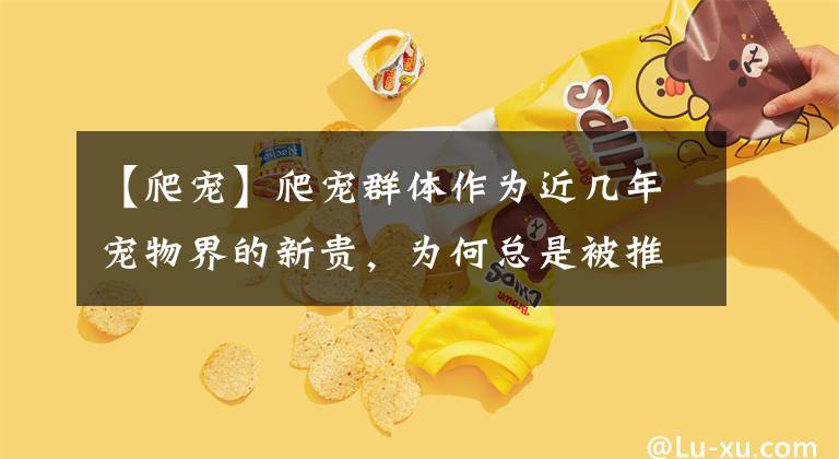 【爬宠】爬宠群体作为近几年宠物界的新贵,为何总是被推到风口浪尖?