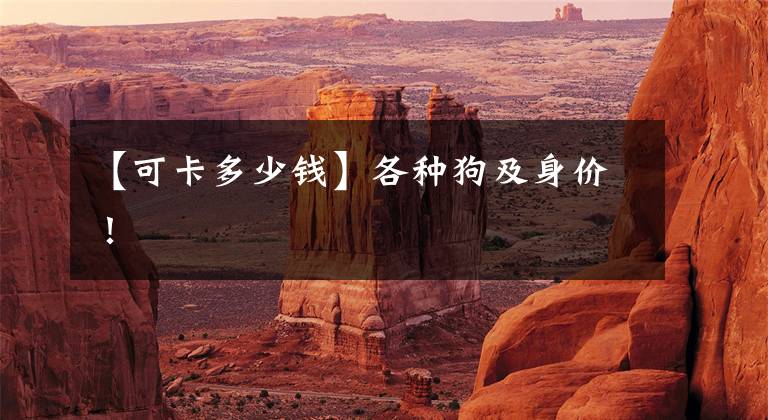 【可卡多少钱】各种狗及身价！