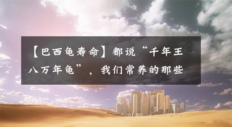 【巴西龟寿命】都说“千年王八万年龟”，我们常养的那些乌龟寿命到底有多久？