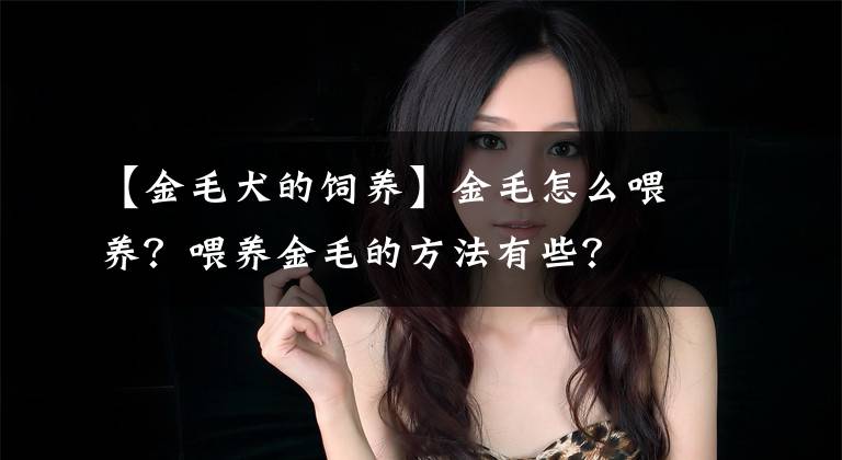 【金毛犬的饲养】金毛怎么喂养？喂养金毛的方法有些？