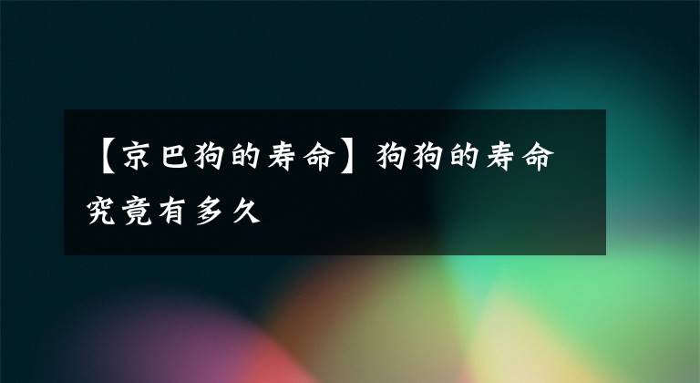 【京巴狗的寿命】狗狗的寿命究竟有多久