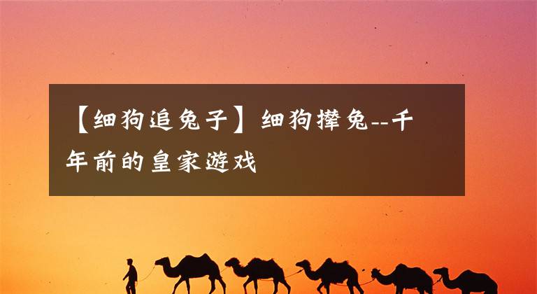 【细狗追兔子】细狗撵兔--千年前的皇家游戏