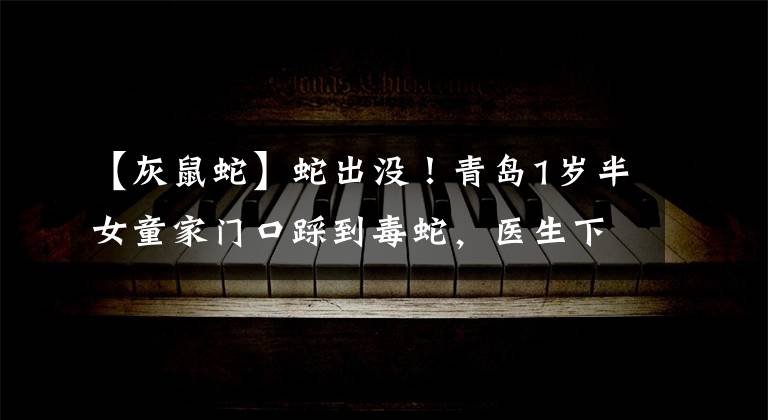 【灰鼠蛇】蛇出没！青岛1岁半女童家门口踩到毒蛇，医生下病危通知说从医29年第一次见