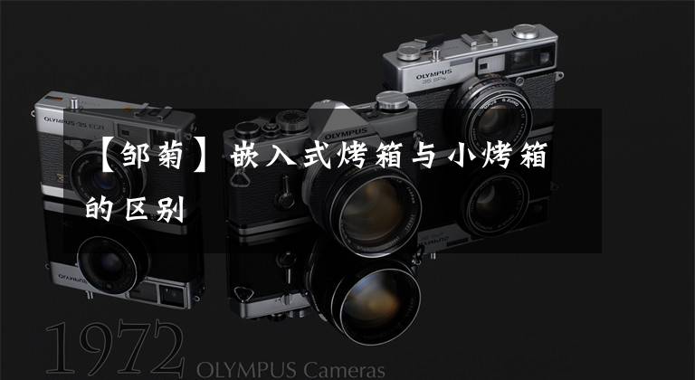 【邹菊】嵌入式烤箱与小烤箱的区别