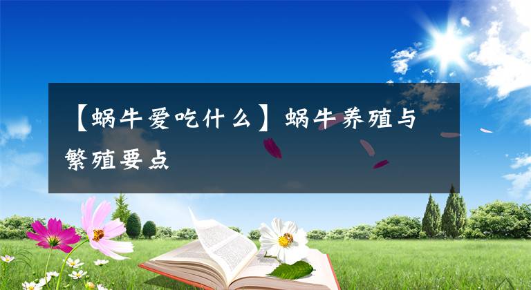 【蜗牛爱吃什么】蜗牛养殖与繁殖要点