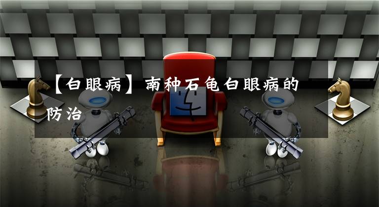 【白眼病】南种石龟白眼病的防治