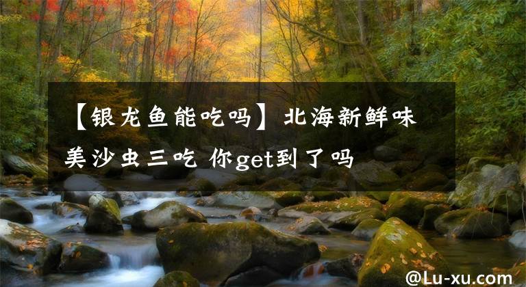 【银龙鱼能吃吗】北海新鲜味美沙虫三吃 你get到了吗