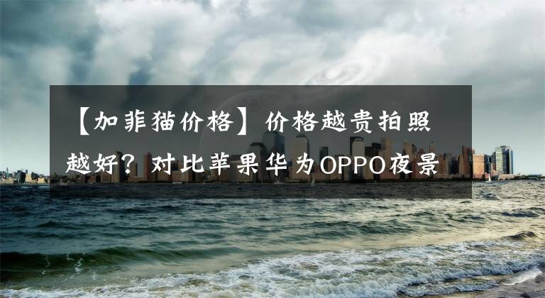 【加菲猫价格】价格越贵拍照越好?对比苹果华为OPPO夜景拍摄,细节色彩大不同