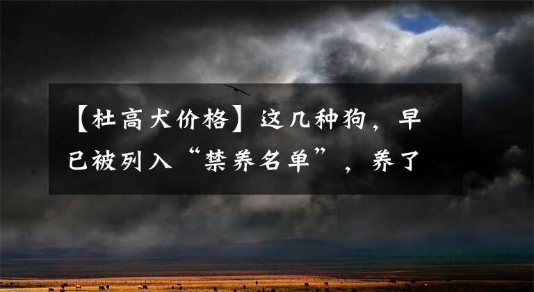 【杜高犬价格】这几种狗,早已被列入“禁养名单”,养了就违法