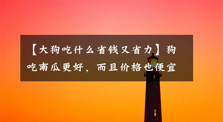 【大狗吃什么省钱又省力】狗吃南瓜更好，而且价格也便宜，给狗蒸着吃就行了