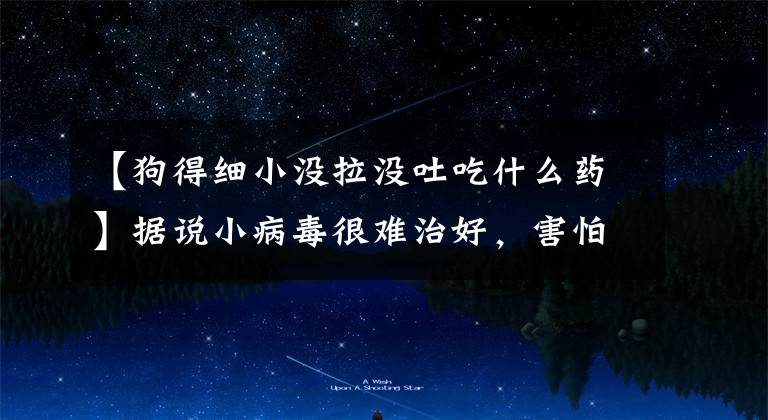 【狗得细小没拉没吐吃什么药】据说小病毒很难治好,害怕,想法不对,药再多也没有用。
