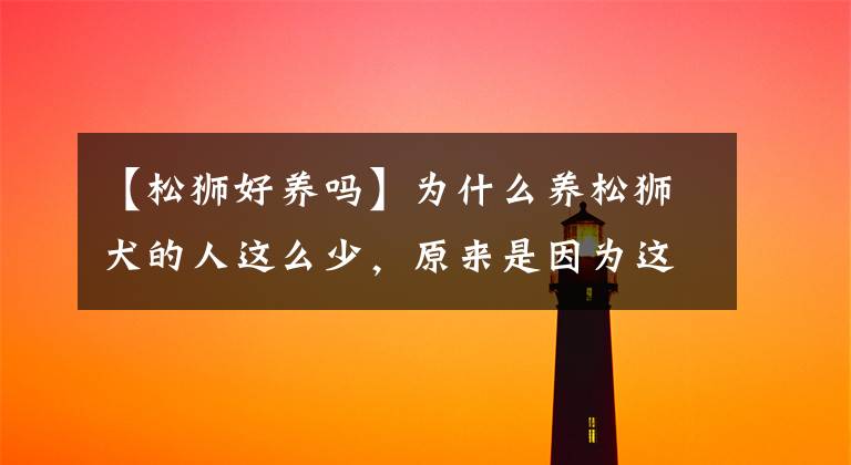 【松狮好养吗】为什么养松狮犬的人这么少，原来是因为这7个“原因”