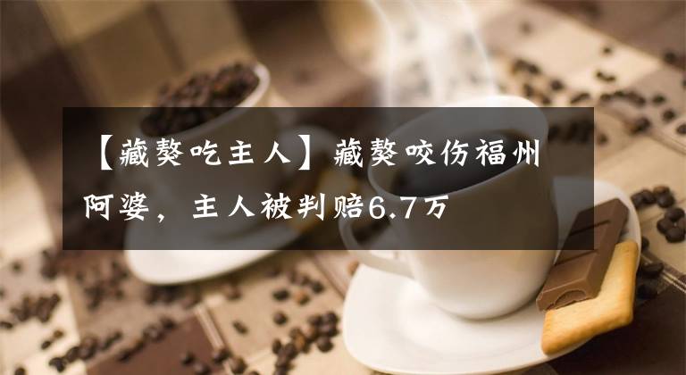 【藏獒吃主人】藏獒咬伤福州阿婆,主人被判赔6.7万