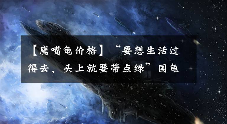 【鹰嘴龟价格】“要想生活过得去,头上就要带点绿”国龟之“绿”——绿毛龟