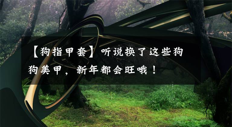 【狗指甲套】听说换了这些狗狗美甲，新年都会旺哦！
