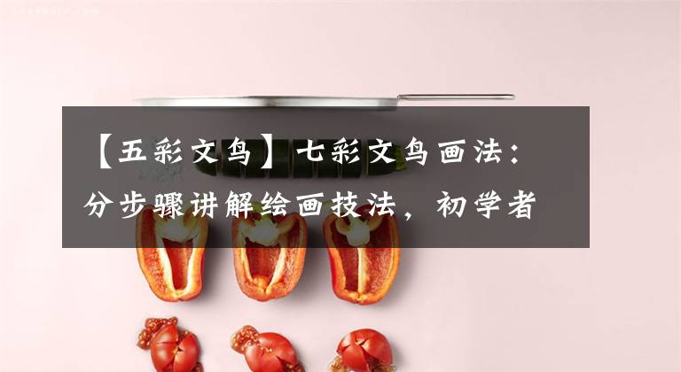 【五彩文鸟】七彩文鸟画法：分步骤讲解绘画技法，初学者力求立体感，切忌平涂