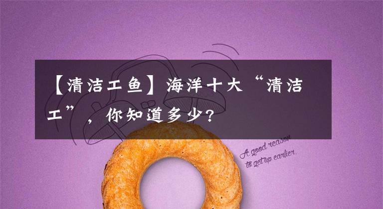 【清洁工鱼】海洋十大“清洁工”，你知道多少?