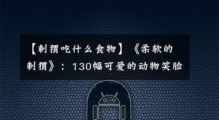【刺猬吃什么食物】《柔软的刺猬》:130幅可爱的动物笑脸,每一幅都能温暖你