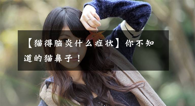 【猫得脑炎什么症状】你不知道的猫鼻子!