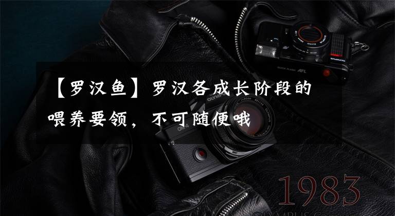 【罗汉鱼】罗汉各成长阶段的喂养要领，不可随便哦