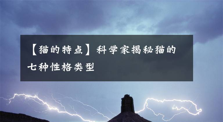 【猫的特点】科学家揭秘猫的七种性格类型