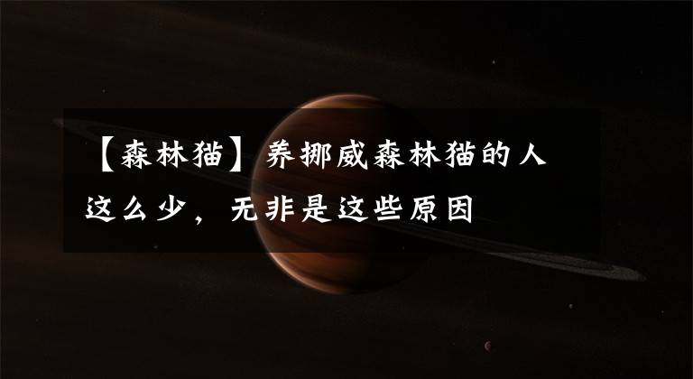 【森林猫】养挪威森林猫的人这么少,无非是这些原因