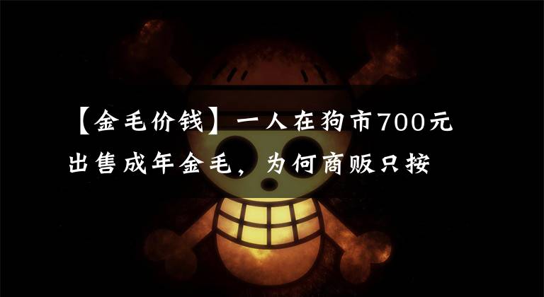 【金毛价钱】一人在狗市700元出售成年金毛，为何商贩只按“5块”收购？