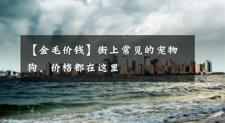 【金毛价钱】街上常见的宠物狗，价格都在这里
