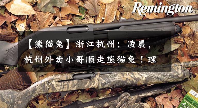 【熊猫兔】浙江杭州：凌晨，杭州外卖小哥顺走熊猫兔！理由：我属兔