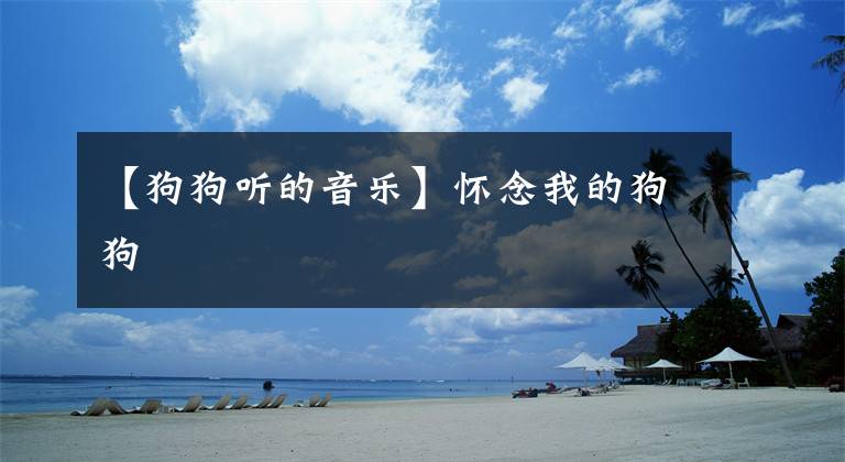 【狗狗听的音乐】怀念我的狗狗