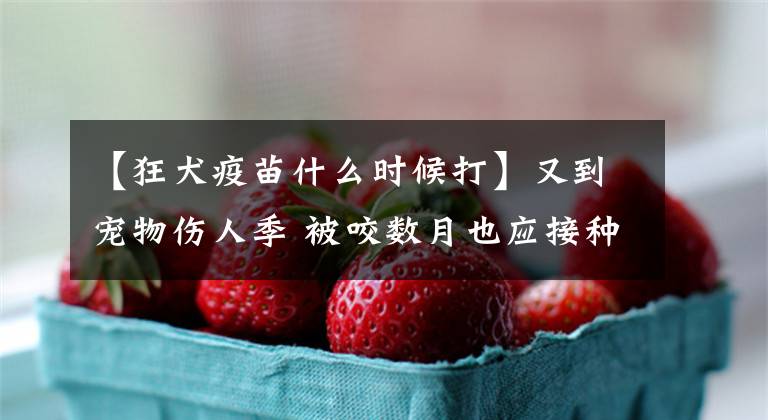 【狂犬疫苗什么时候打】又到宠物伤人季 被咬数月也应接种狂犬病疫苗