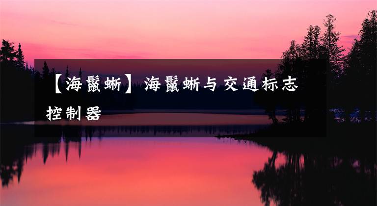 【海鬣蜥】海鬣蜥与交通标志控制器