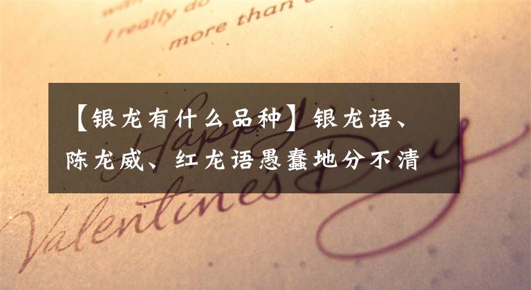 【银龙有什么品种】银龙语、陈龙威、红龙语愚蠢地分不清吗？增加知识，收藏这三幅画就可以了