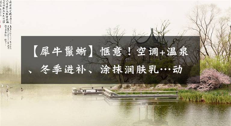 【犀牛鬣蜥】惬意！空调+温泉、冬季进补、涂抹润肤乳…动物“花式”过冬让人羡慕