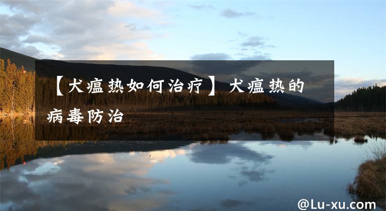 【犬瘟热如何治疗】犬瘟热的病毒防治