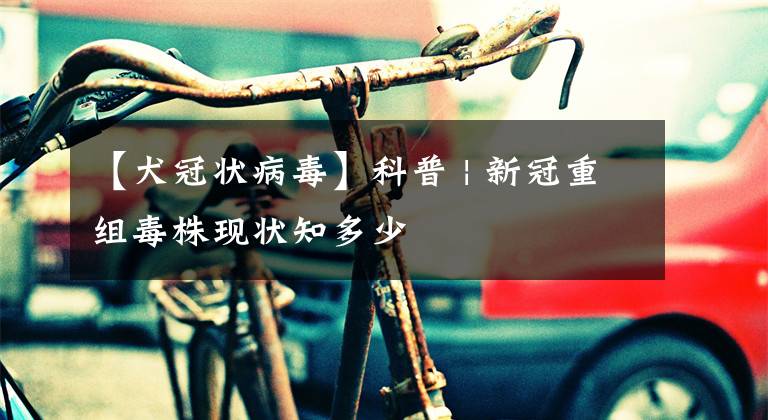 【犬冠状病毒】科普 | 新冠重组毒株现状知多少