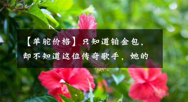 【羊驼价格】只知道铂金包,却不知道这位传奇歌手,她的经历让你佩服