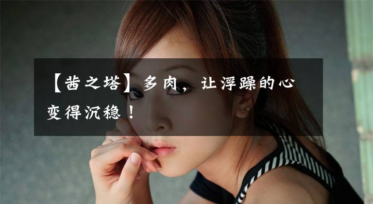 【茜之塔】多肉，让浮躁的心变得沉稳！