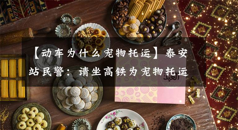 【动车为什么宠物托运】泰安站民警:请坐高铁为宠物托运。