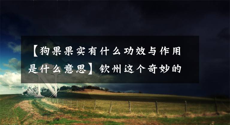 【狗果果实有什么功效与作用是什么意思】钦州这个奇妙的野生水果，你吃了几个？