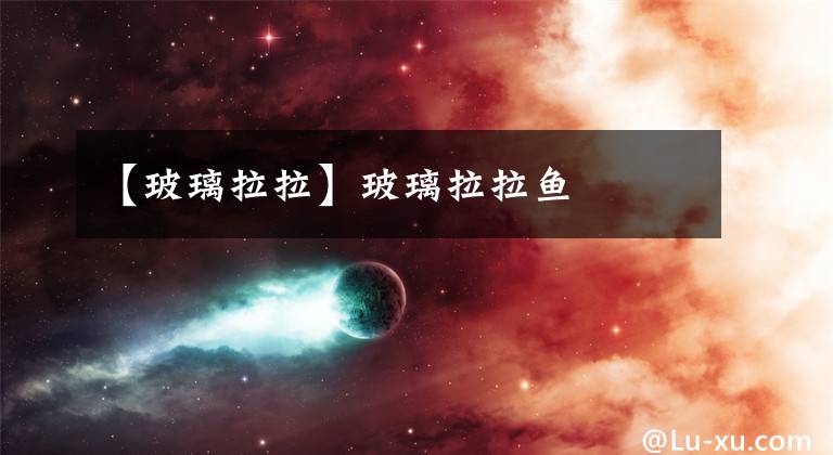 【玻璃拉拉】玻璃拉拉鱼