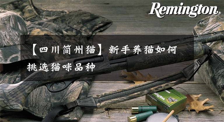 【四川简州猫】新手养猫如何挑选猫咪品种