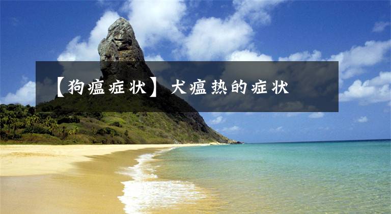 【狗瘟症状】犬瘟热的症状
