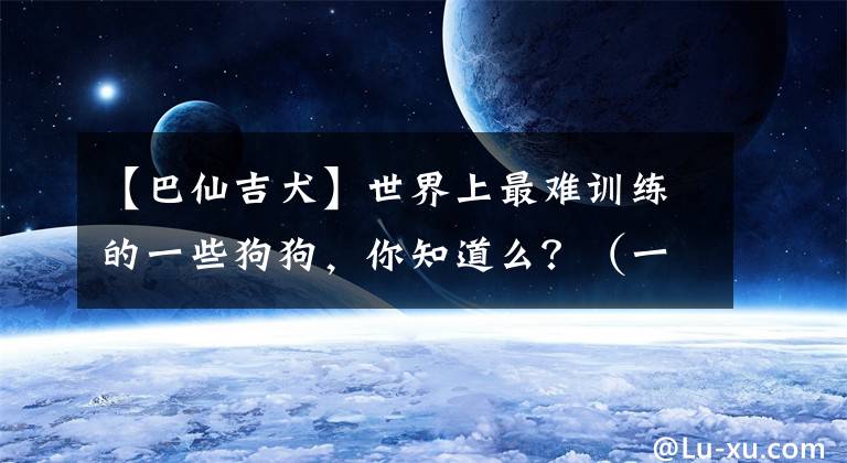 【巴仙吉犬】世界上最难训练的一些狗狗，你知道么？（一）