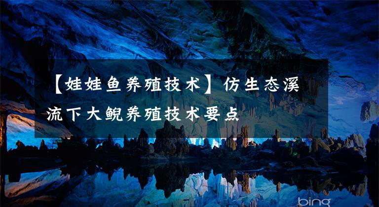 【娃娃鱼养殖技术】仿生态溪流下大鲵养殖技术要点