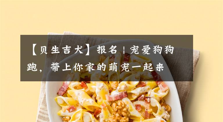 【贝生吉犬】报名 | 宠爱狗狗跑，带上你家的萌宠一起来